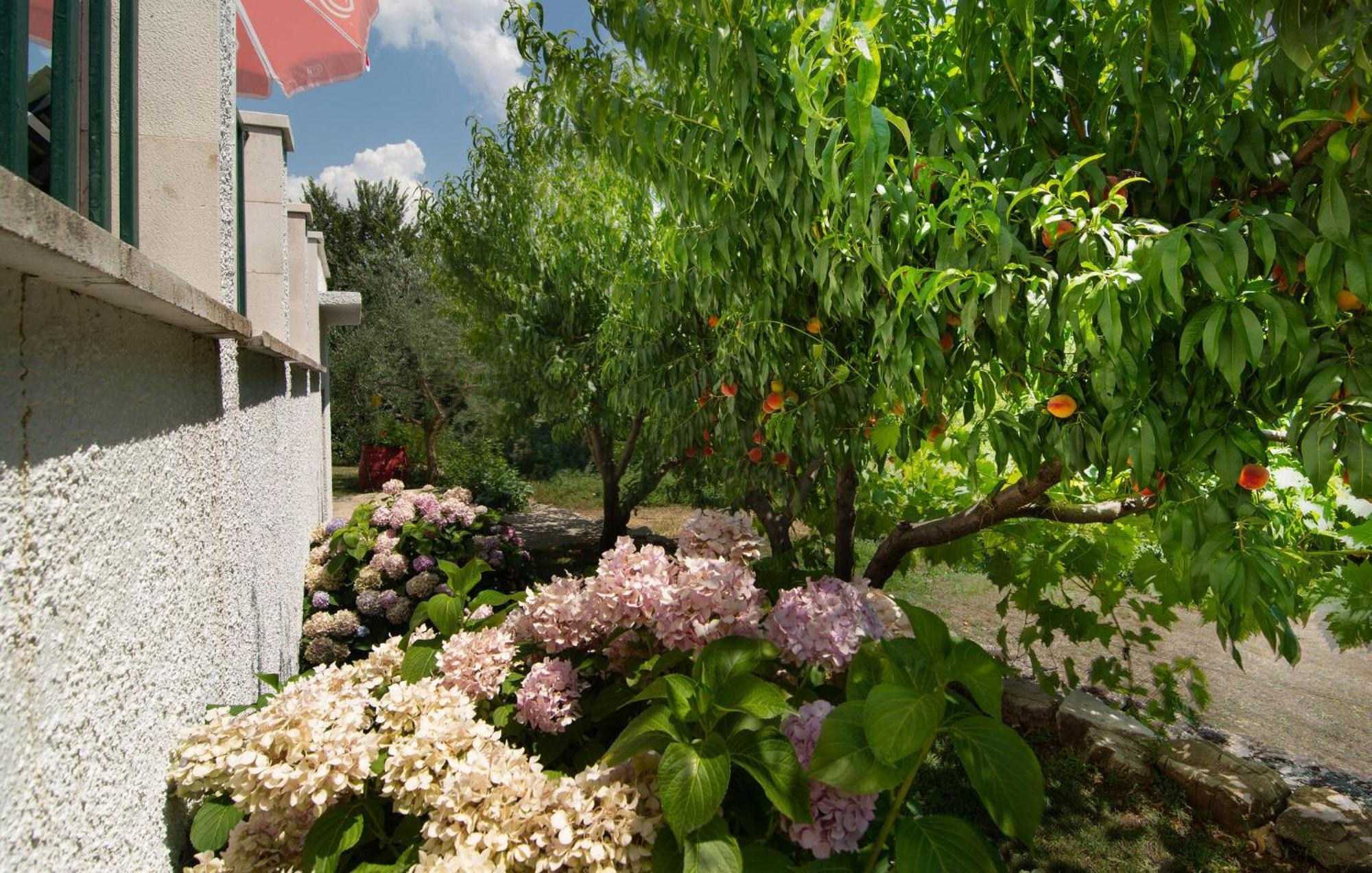 Cozy Home In Podaspilje With Kitchen Svinisce Zewnętrze zdjęcie